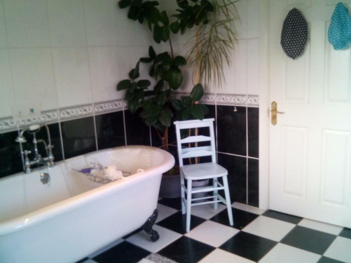 Y Garreg Wen Bed and Breakfast Llanybyther Exteriör bild