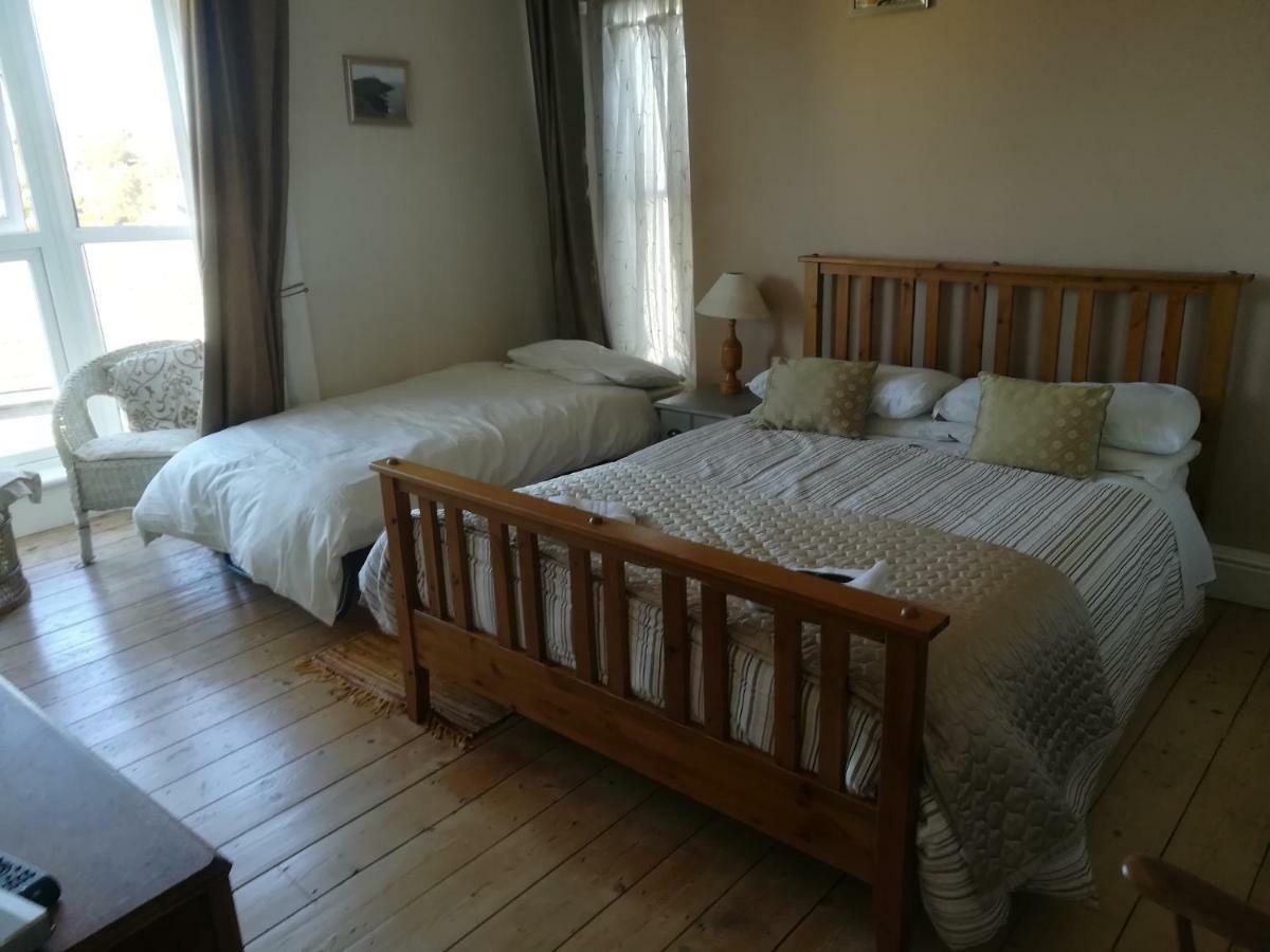 Y Garreg Wen Bed and Breakfast Llanybyther Exteriör bild